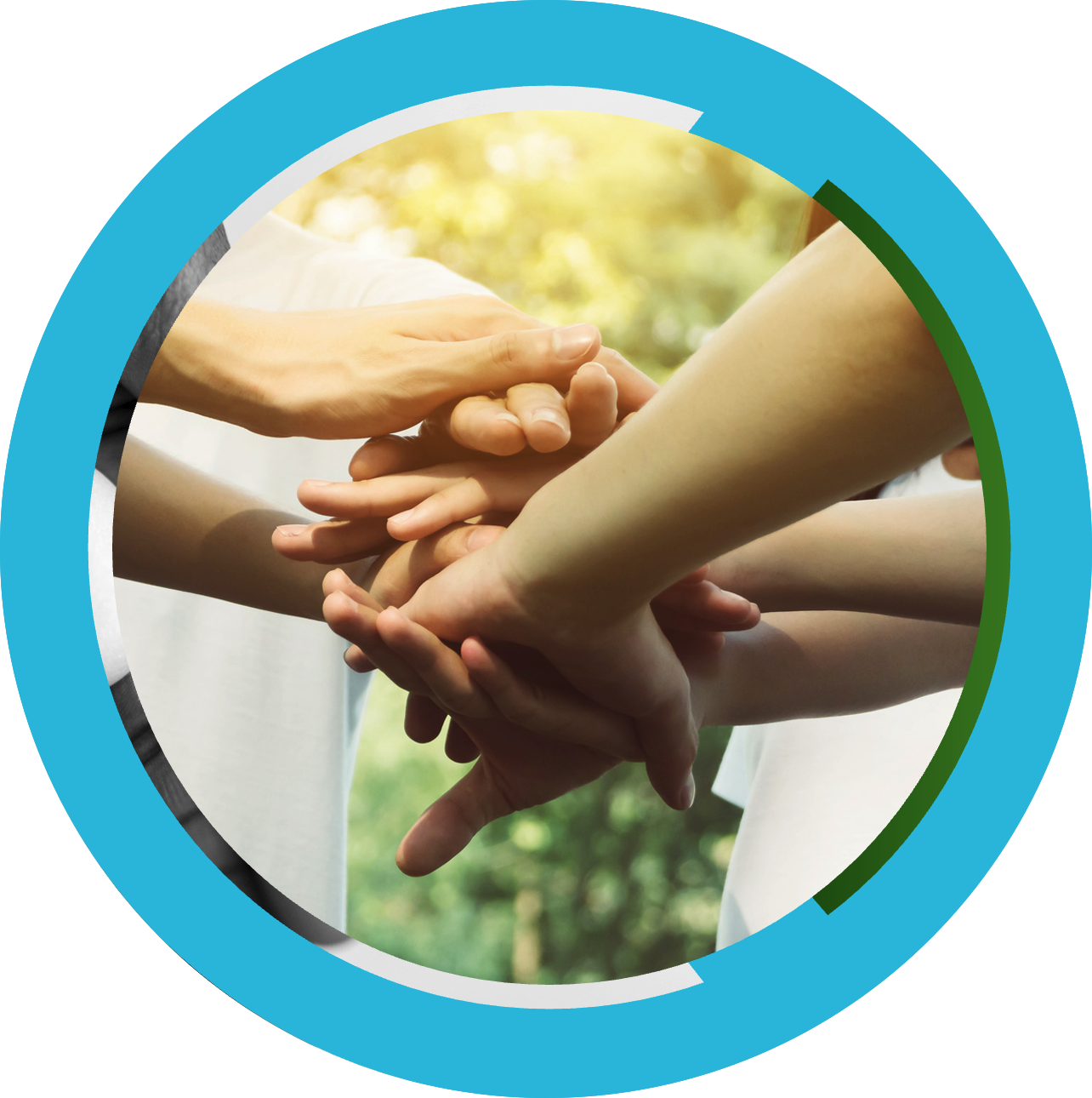 The WV Wise Project The WV Wise Project